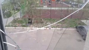 Грайворонский округ Белгородской области начинает оживать