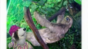 География 33. Джунгли. Часть 3 — Шишкина школа