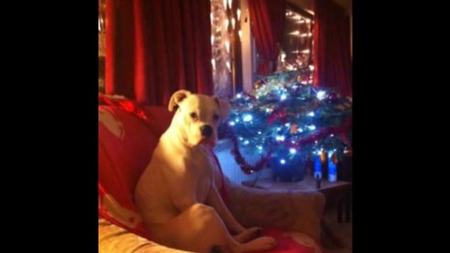 dr.gonZo & ND Catani: Lola pennt (original) смотреть онлайн