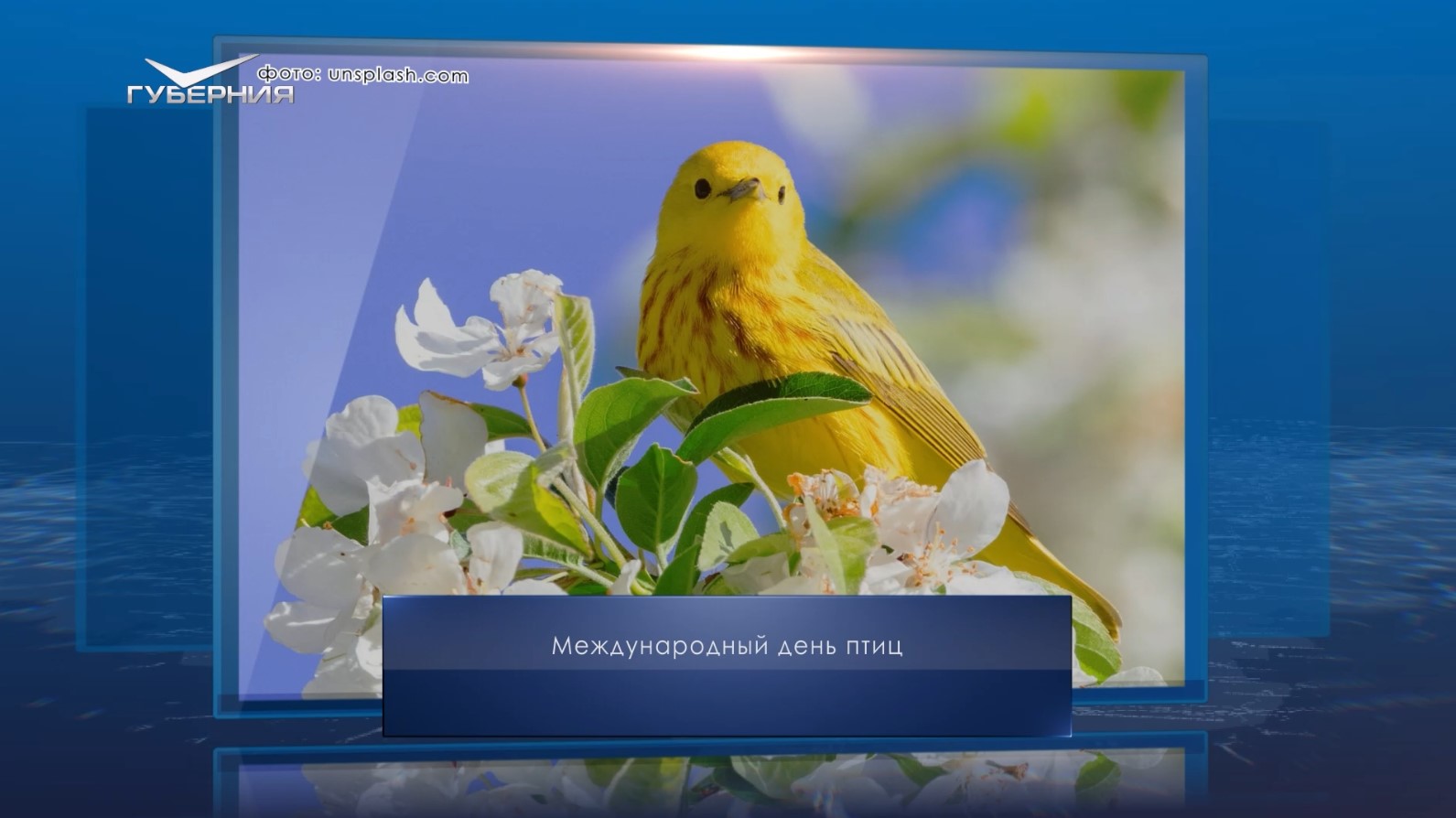 Международный день птиц. Календарь Губернии от 1 апреля