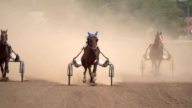 повседневные тренировки , спорт-видеоклип. смотреть онлайн