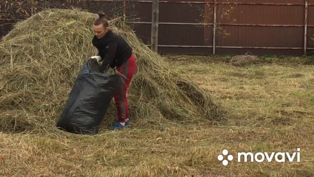 Самое главное для птицы/ Тепло, Светло и Сухо смотреть онлайн