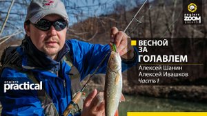 Весной за голавлем. Алексей Шанин, Алексей Ивашков. Часть 1. Anglers Practical.
