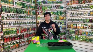 Перцы острые?️ Посадка ?