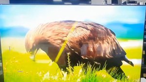 Телевизор Artel UA50H3502