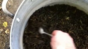 Как жарить Иван-Чай