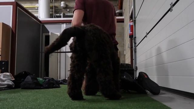 18-03-06 stretching part смотреть онлайн