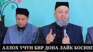 МОЛ КЕЛИН ИФЛОС|• ДОМЛА ЖУДА КАТТИК ГАПИРДИЛАР