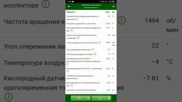 Долговременная коррекция