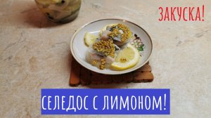 Селедка с лимоном в банке! Закусочка