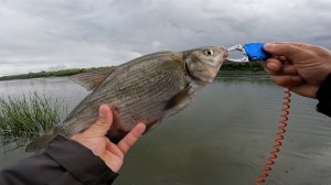 Куртка Aquatic КД-02. Рыбалка на Оке. Ловля в Дождь. Ультралайт.