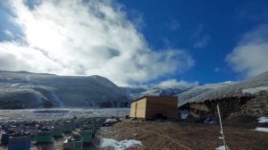 кавказские пчелы.пчелы зимовка.зимовка пчел.гелхен.кавказская порода пчел в изоляции от других поро