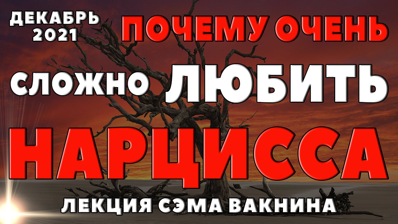 Сэм вакнин книги. Сэм Вакнин злостная любовь к себе. Фазы отношений с нарциссом Сэм Вакнин
