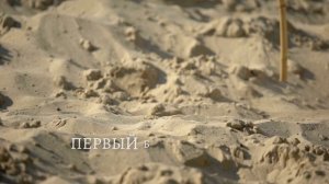 ПОЧЕМУ В ИСЛАМЕ РАЗРЕШЕНО ИМЕТЬ ДО ЧЕТЫРЕХ ЖЕН И ПОЧЕМУ У ПРОРОКА БЫЛО МНОГО БРАКОВ?