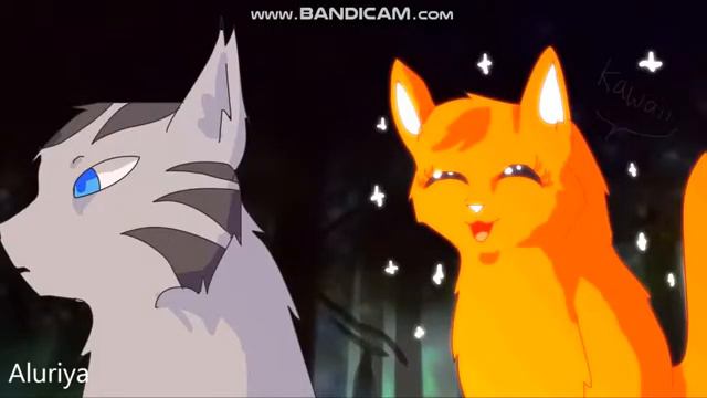 Коты-Воители/Уголёк и Белка/Клип-Сломана смотреть онлайн