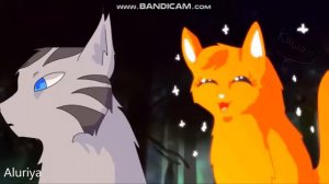 Коты-Воители/Уголёк и Белка/Клип-Сломана