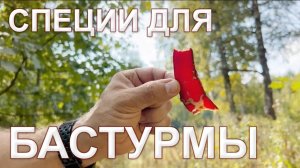 БАСТУРМА. Чем новая смесь специй отличается от большинства похожих.
