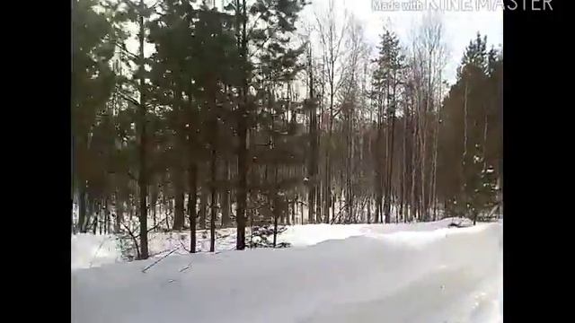 Покатушка по лесу смотреть онлайн