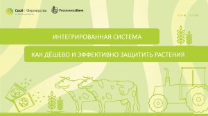 Интегрированная система: как дёшево и эффективно защитить растения