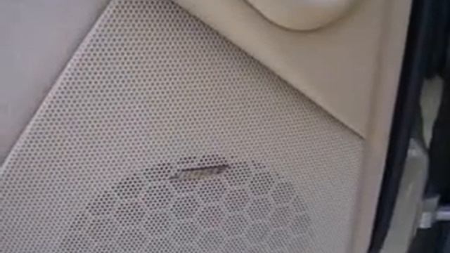 2002 MERCEDES-BENZ S-CLASS Danville, PA 43456A смотреть онлайн