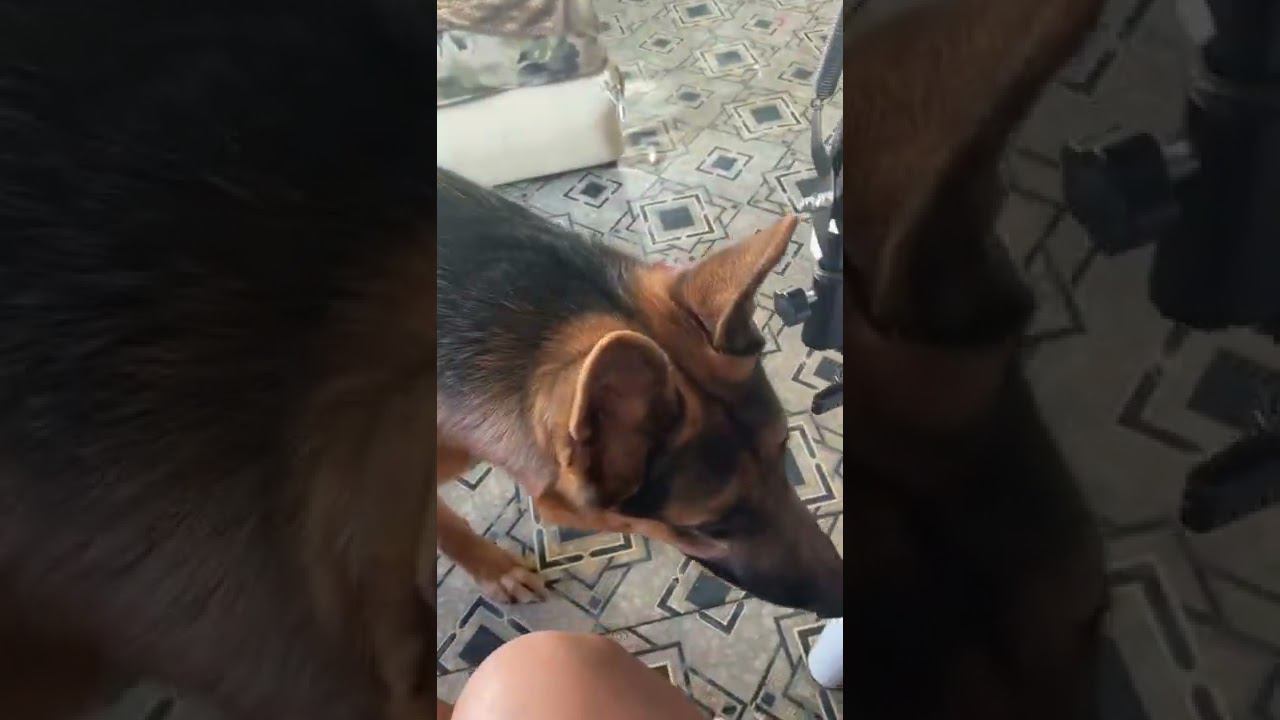 Когда очень хочешь гулять смотреть онлайн