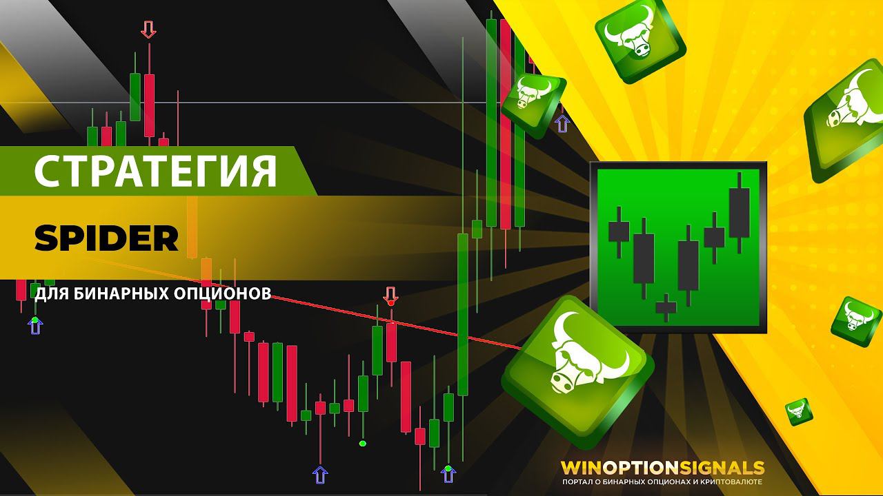 БИНАРНЫЕ ОПЦИОНЫ 2024: Стратегия Spider