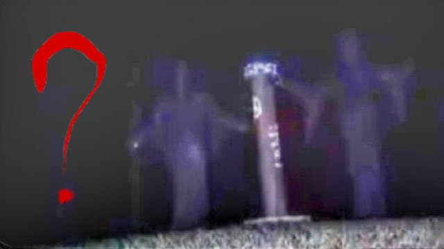 5 Странных Существ, Снятых на Камеру