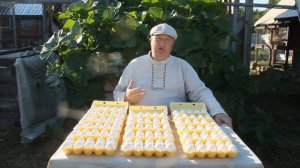 ИНКУБАЦИОННОЕ ЯЙЦО ОТ ЛУЧШИХ В РОССИИ ЛЕГГОРНОВ.