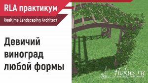 Девичий виноград любой формы в Realtime Landscaping Architect. Практикум flokus.ru