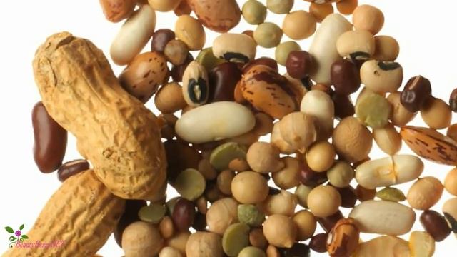 10 продуктов, полезных для кожи смотреть онлайн