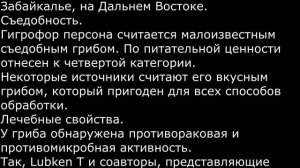 Гигрофор персона Hygrophorus persoonii Описание Съедобность Видео определитель Лечебные свойства