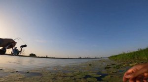 Рыбалка на спиннинг. Ловля окуня с берега. Береговой джиг #рыбалка #fishingvideo #окуньнаджиг #окун