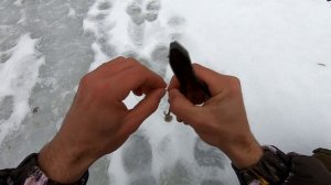 Опасная рыбалка. Ловлю на спиннинг с края льдины.