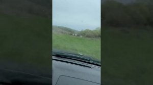 Рыбалка в Липецкой области на Щуку на Дону