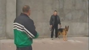 Тест Носова.Немецкая Овчарка тест не прошла. Фигурант Носов Андрей.