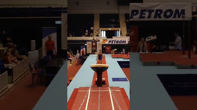 ANDREI MUNTEANU VAULT 2 EF NATIONALS 2014