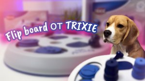 Развивающая игрушка для собак от TRIXIE Flip Board (флип борд)