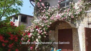Отдых в Григорьевке, на даче (Одесская область, Лиманский (Коминтерновский) р-н, с. Григорьевка)