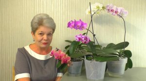 Орхидеи - ЧЕСНОЧНАЯ ВОДА и Подуры  Кожура БАНАНОВ. МИФЫ И РЕАЛЬНОСТЬ   Ответы на Вопросы ❤️