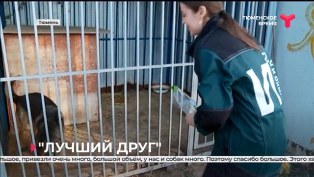 Коллектив компании 