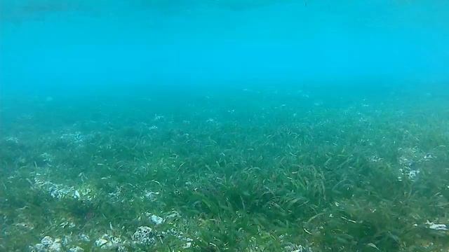 Снорклинг на Мальдивах с ребенком. Подготовка к выходу в океан. Май 2021 г. смотреть онлайн