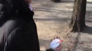 Флешмоб. Научится бы не парится по пустякам...