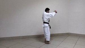 Магия ката каратэ-1. Нидзюшихо.