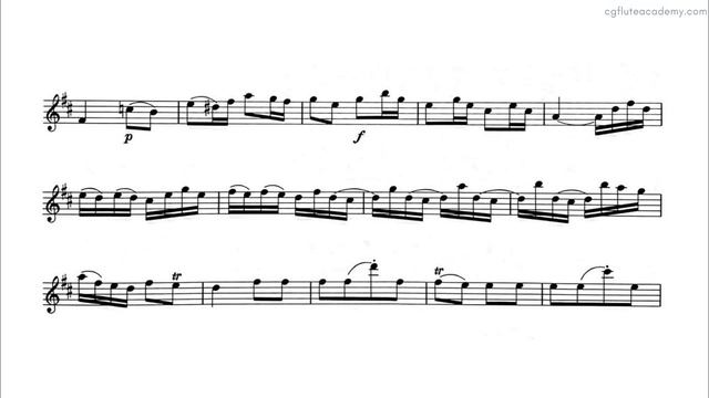 J. S. Bach – Badinerie ♩= 100 (Moderately Slow) Strings Accompaniment with metronome смотреть онлайн