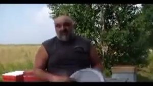 Хлорелла в пчеловодстве как действует хлорелла на пчёл