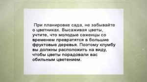 Полезные советы для дачи