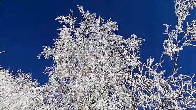 Зима. Мороз. Городская природа в мороз. Природа зимой. Зимние красоты. Немного зимней романтики.