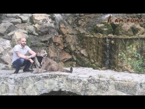 Пума Месси на фестивале "marketingfest2018". Cougar Messi at the festival "marketingfest2018"