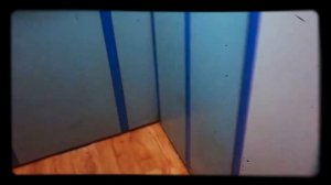 КОШКА КОТОРАЯ ЛЮБИТ КАТАТЬСЯ В ЛИФТЕ