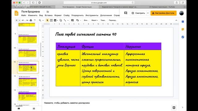 Кора больших полушарий. Поля Бродмана смотреть онлайн